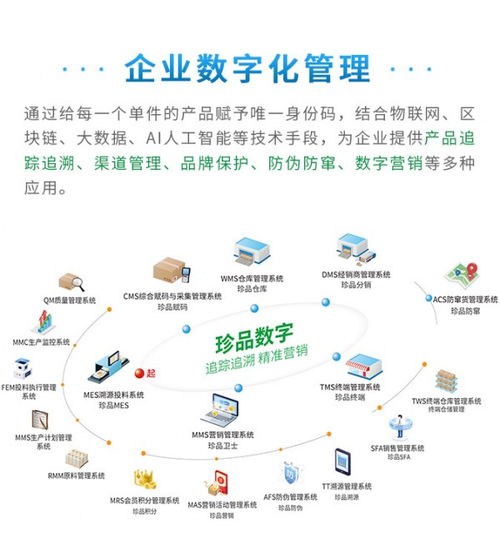 賦能管理，驅(qū)動(dòng)未來 珍品數(shù)字發(fā)布全新企業(yè)數(shù)字化解決方案與數(shù)據(jù)處理服務(wù)